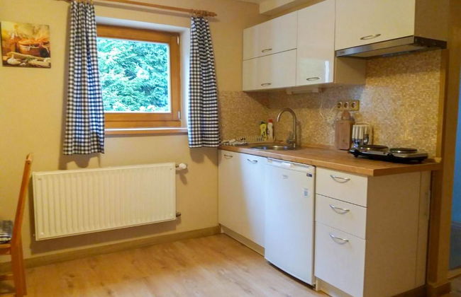 1 bedroom Apartment in Harrachov with garden - Photo 5