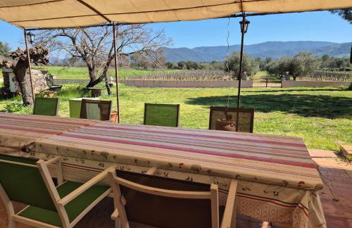 Villa in Le Luc with Pool & Vineyard Views - Foto 7