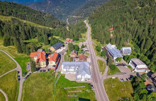 Auerhahn Feldberg - Foto 80