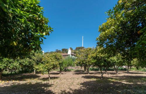 Monte Alecrim - Foto 23