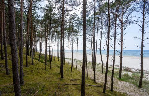 Domki Szumifala - Foto 12