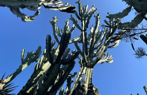 Casa Dieter - Photo 44