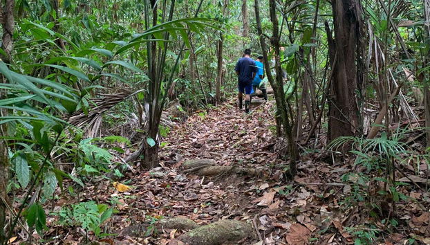 Passeando pela selva de Corcovado