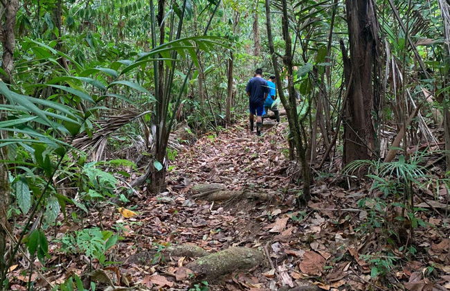 Excursão à selva de Corcovado - Foto 4