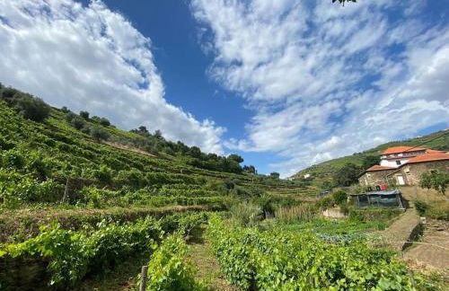 Quinta do Enxertado - Foto 28