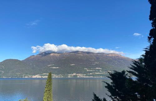 Suitecastlelakeview 2 - Photo 20