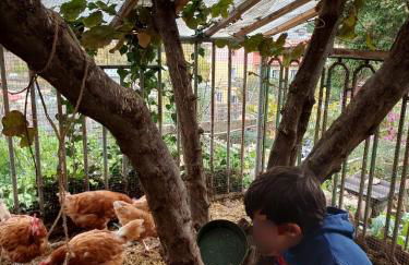 Encanto en el Moncayo - Photo 16