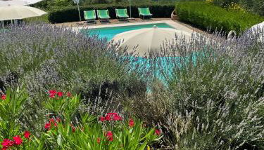 Torre Di Ponzano - Foto 4