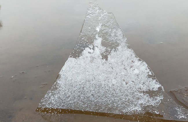 Ardvonie House - Foto 24