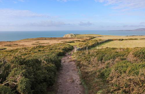 Bodior Lodge - Photo 43