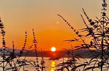 Lovrini Dvori - Photo 23