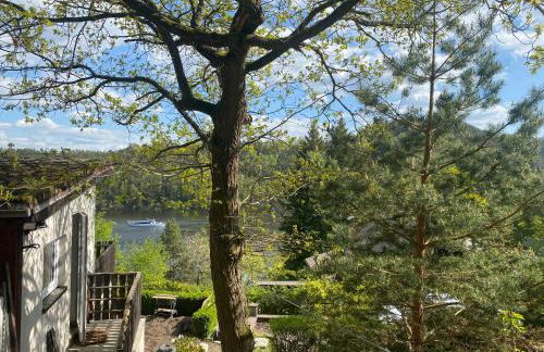 Saale-Residenz - Foto 16