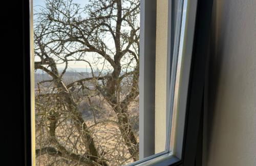 Apartmenthaus Weimarblick - gratis Stellplätze - WLAN - SmartTV - zentral in Weimar - Foto 6