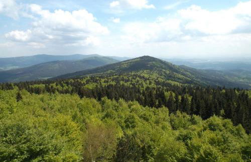 Ferienwohnung Lindenhof - Foto 54