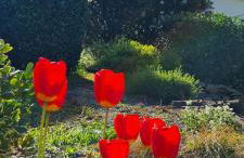 1Step2AllStars Baumhaus - Foto 77