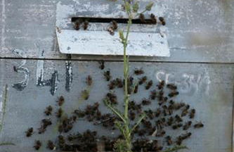 Finca El Zurrador - Foto 41