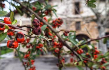 Casa Rural Areano - Foto 107