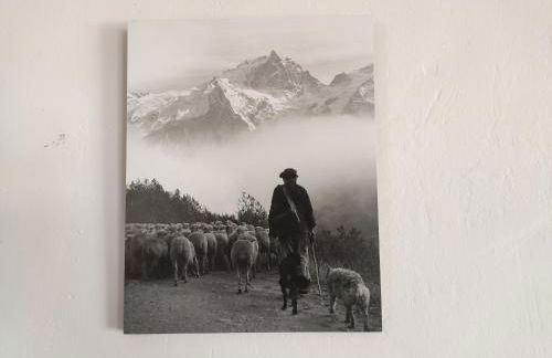 Panorama 360° - Foto 19