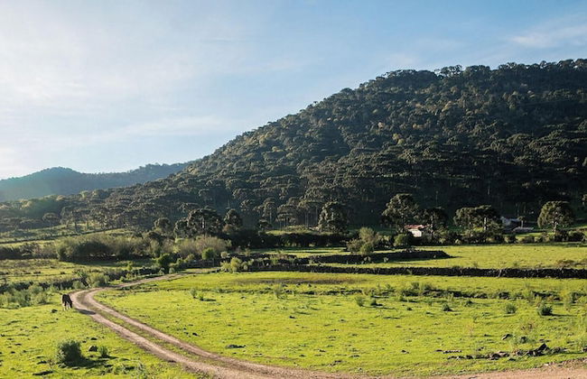 Chalé Diamante Negro - Urubici - SC - Foto 38