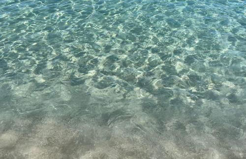 Casa Lisboa - Photo 55