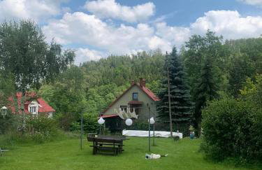 Noclegi Zielona Gęś - Foto 24