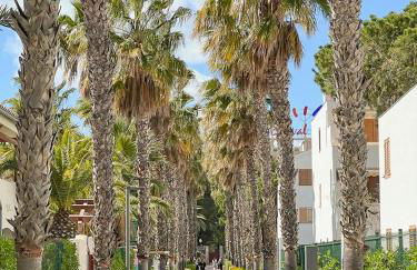 Mediterranea Loft New - Foto 25