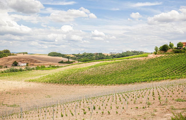 Spacious Tuscany Retreat - Foto 45