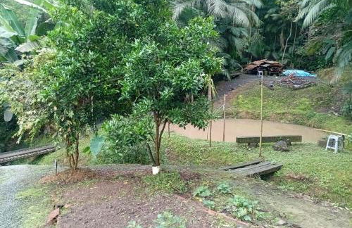 MICRO CASA DE SITIO DO TIO Tonho - Foto 7