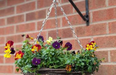 Tranquil Countryside Cottage near Loughborough - Foto 44