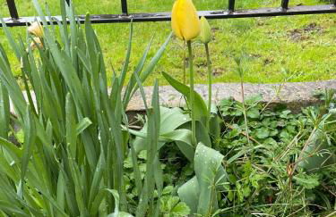 Casita Bonita - Foto 42