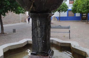 Alojamiento casa típica de Córdoba - Foto 29