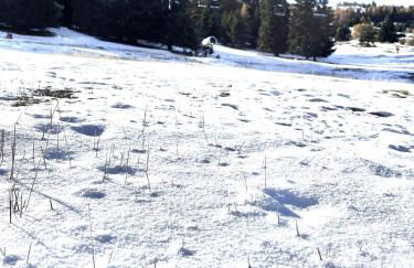 APPARTEMENT CHALETS DU SUPER D - Photo 6