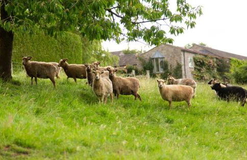 Upper Vobster Farm - Foto 11