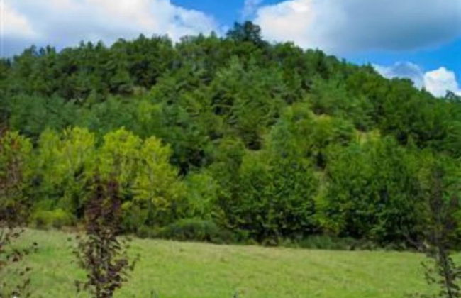 Agriturismo Azienda Agricola Bortolotti - Foto 27