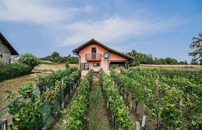 Holiday Home Vesna with Sauna - Foto 37