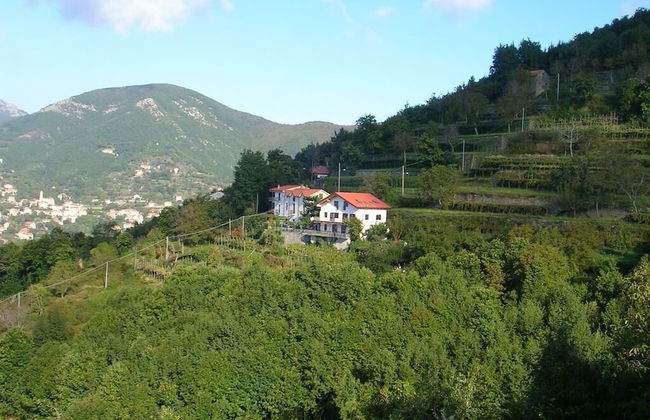 Agriturismo Il Castagno - Foto 17