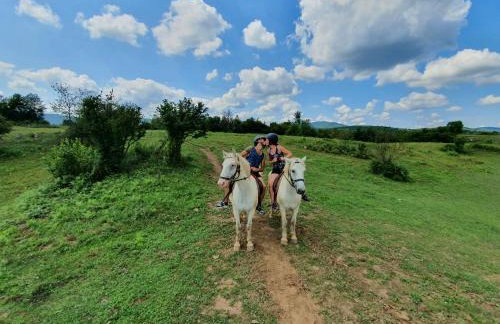 Studio apartments Kaya - Foto 56