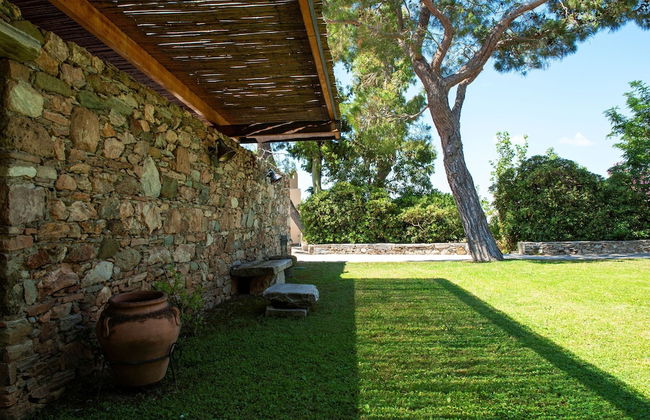 Montofoli Wine Estate - Foto 65