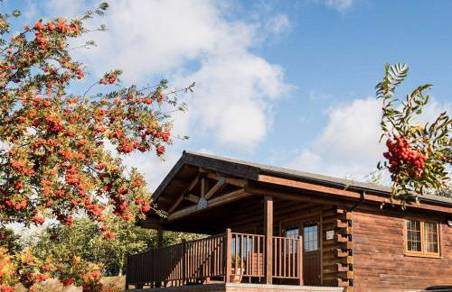 No 6 Lake View Lodges - 28283 - Foto 8