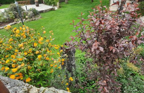 Apartamentos Alburiñas Ribeira Sacra - Foto 57