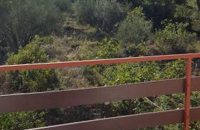 Apartment Ana - Foto 45