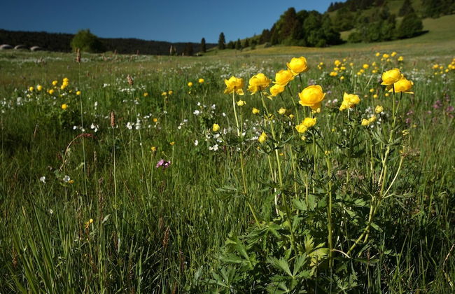 Ferienwohnung im Bernautal - Foto 18