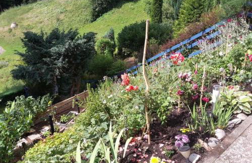 Apartment Haus Wiesental by Interhome - Foto 8