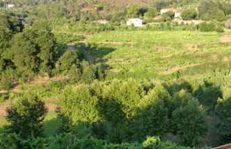 Quinta das Lindas - Foto 42