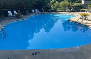 The Swirling Bird - Foto 37