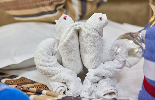 Apartamente Papaya - Foto 1