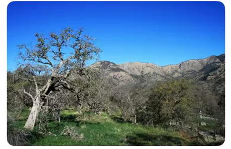 Alta Peak Penzion - Foto 30