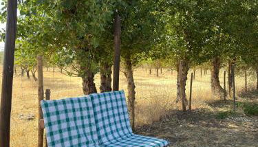 Lodge Rabasquinha - Photo 2