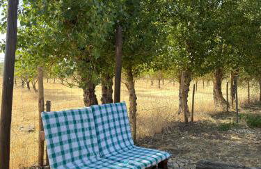 Lodge Rabasquinha - Photo 2