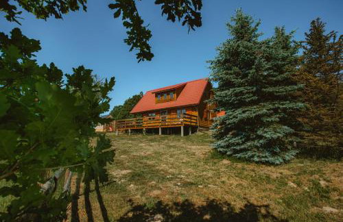 Widokówka Kaszuby - Foto 69